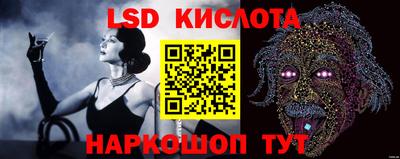 PSILOCYBIN Бугуруслан