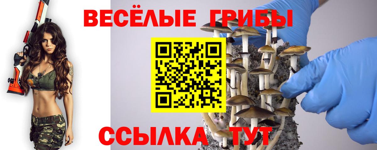 Галлюциногенные грибы MAGIC MUSHROOMS Морозовск